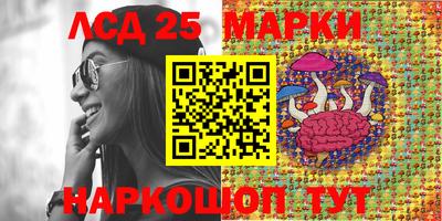 крисы Будённовск