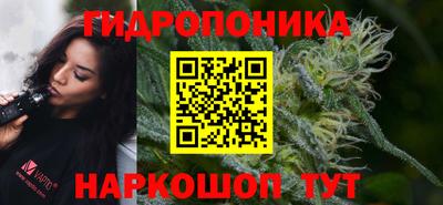 крисы Будённовск