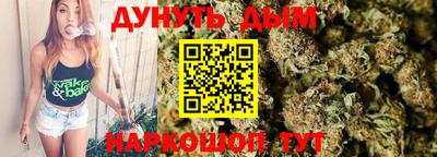 крисы Будённовск