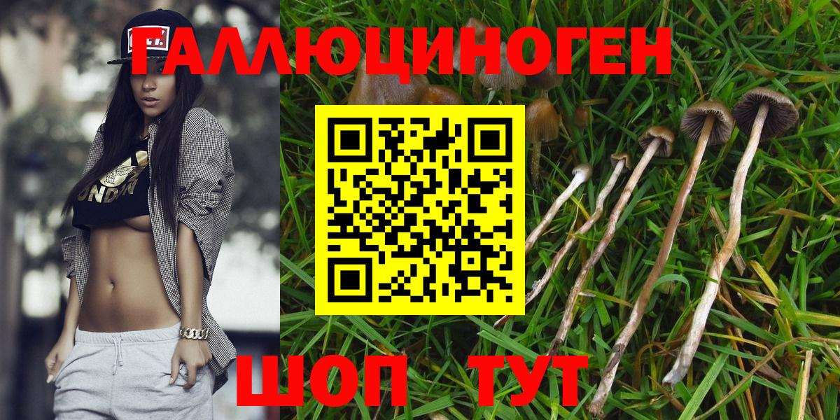 Кинешма  Псилоцибиновые грибы Magic Shrooms  Галлюциногенные грибы Psilocybine cubensis  Вход с VPN 